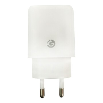 Cargador De Pared Doble Usb Ficha 2.4a 220v Goldtech Color Variante Blanco