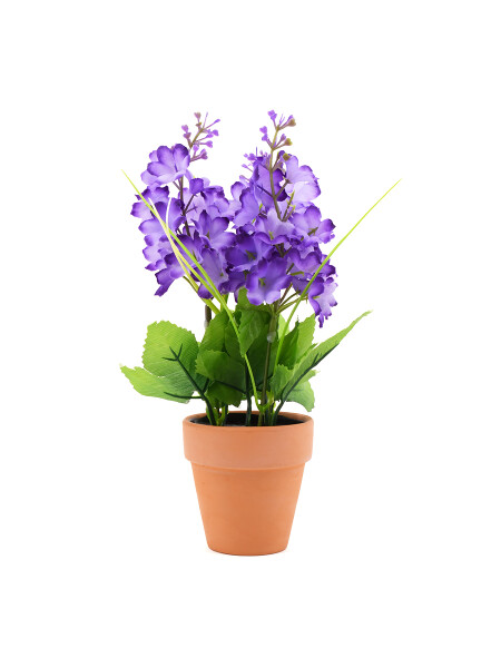 PLANTA JACINTA MACETA LILA