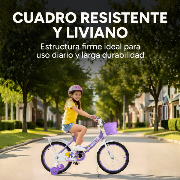 Bicicleta infantil Shengdi Rodado 18 Canasto Parrilla Hadas Color Violeta