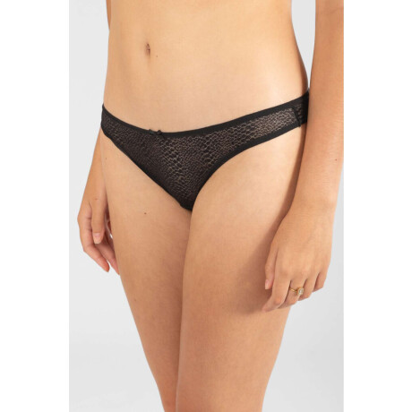 Colaless amaranto Negro