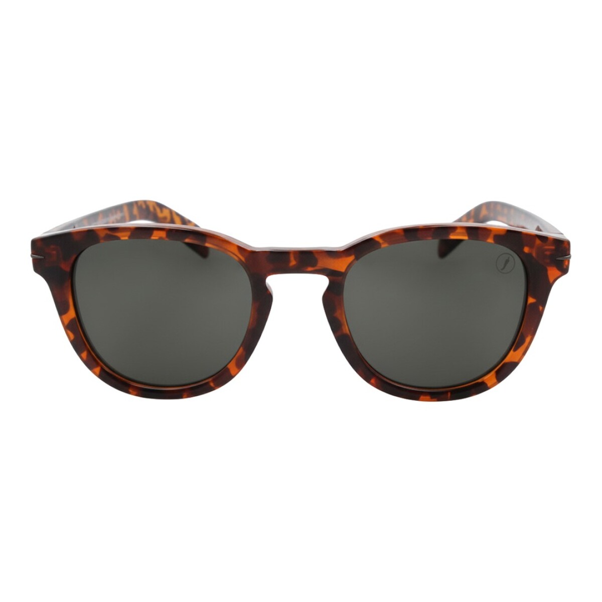 Lentes de Sol Chilli Beans Dallas - Animal Print 