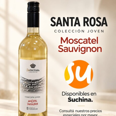 VINO SANTA ROSA 1LT (06) BLANCO (VIDRIO)(COLECCION JOVEN) VINO SANTA ROSA 1LT (06) BLANCO (VIDRIO)(COLECCION JOVEN)