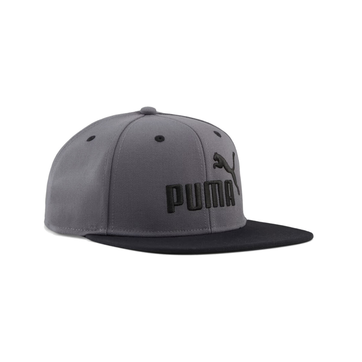 Gorra Puma Essentials N°1 Flat Brim - 04 