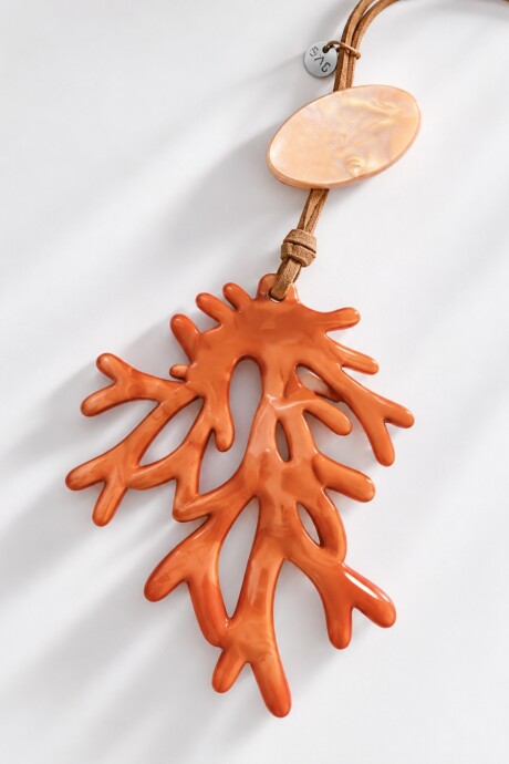 Collar Colores 1