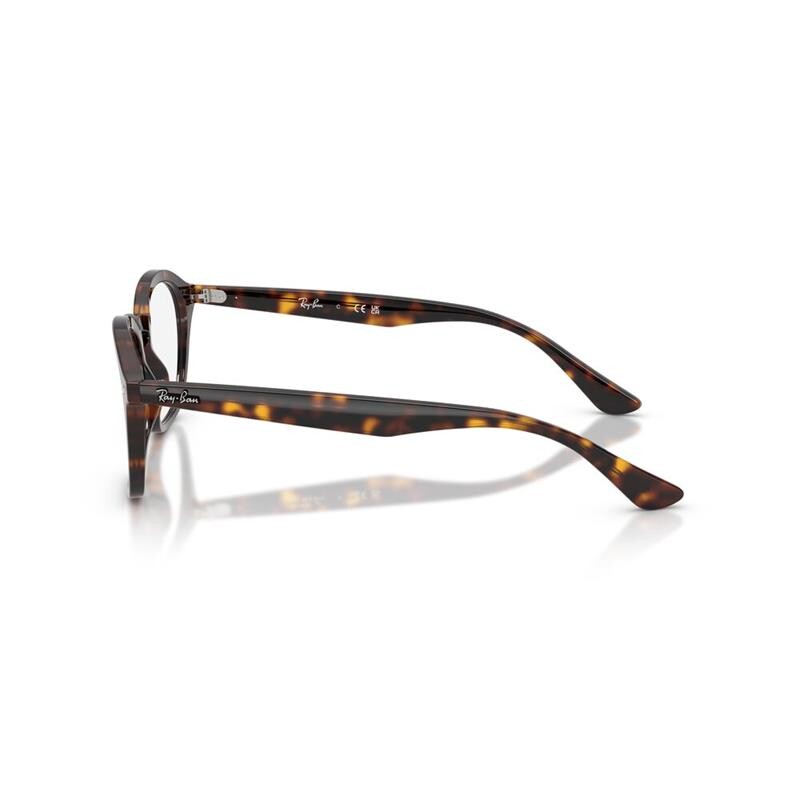 Ray Ban Rx5451 2012