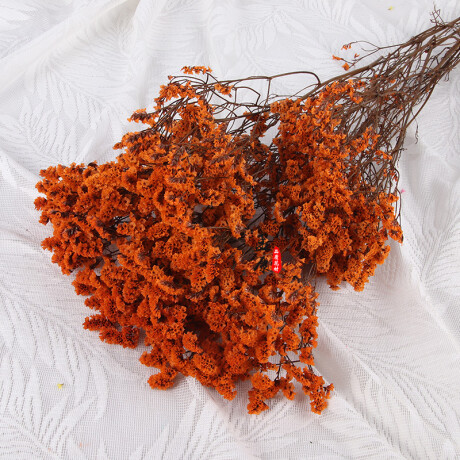 Ramo Frondoso De Flores Secas Naranja