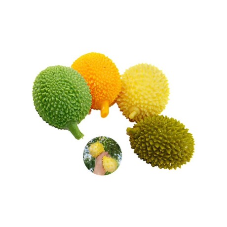 Juguete Squishy Fruta de Goma Flexible 001