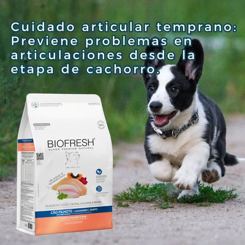 BIOFRESH PERROS CACHORROS RAZAS PEQUEÑAS Y MINI 10.1 KG