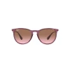 Ray Ban Rb4171 Erika 6591/14
