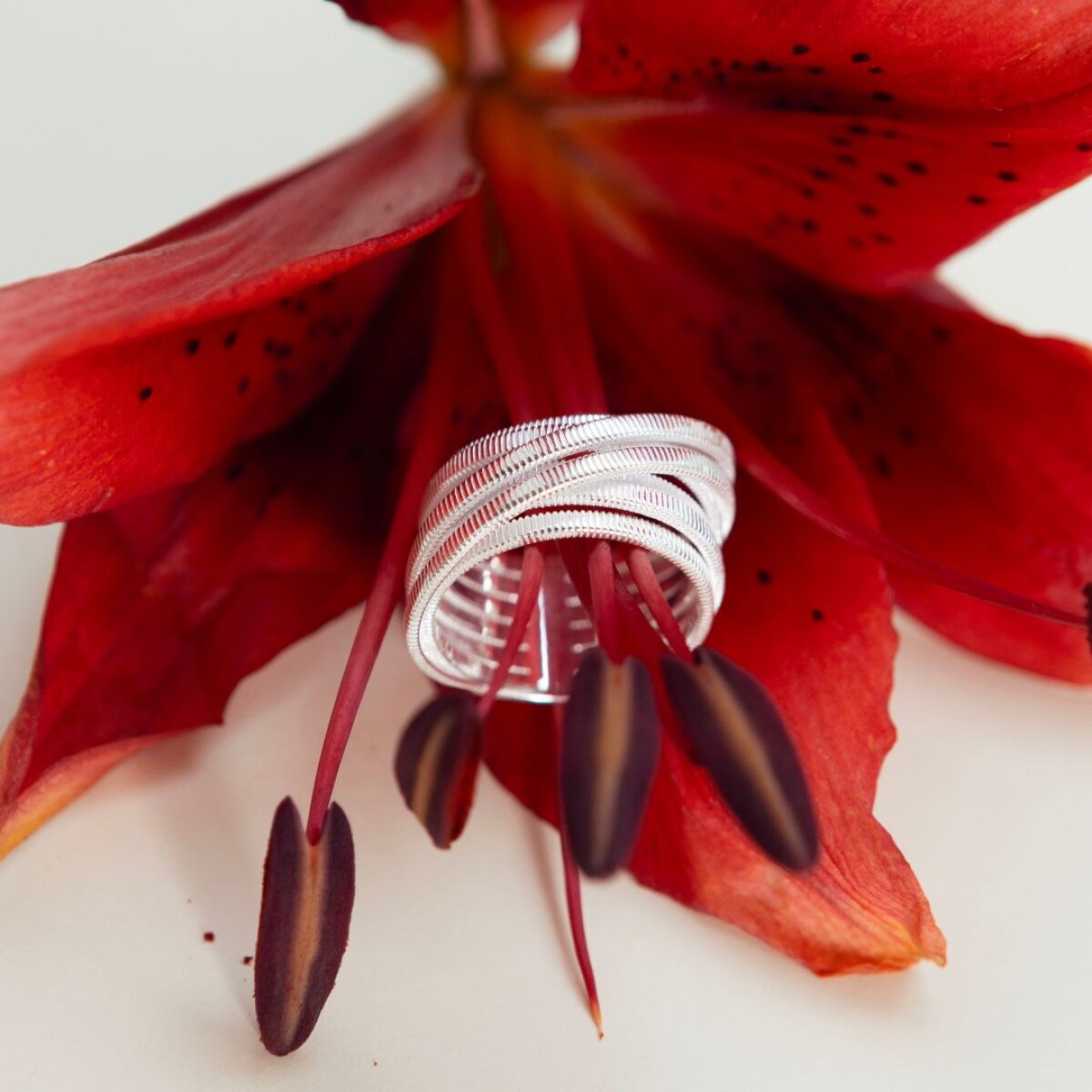 Anillo Apolo - Plata 925 