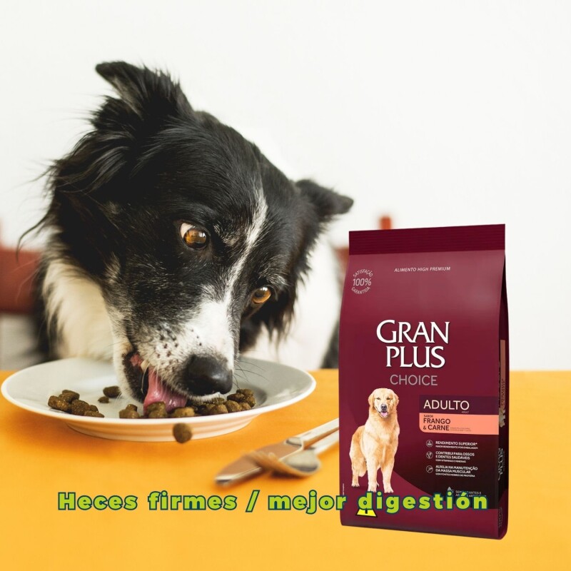 GRAN PLUS CHOICE ADULTO PERRO CARNE Y POLLO 20 KG NUTRICION COMPLETA GRAN PLUS CHOICE ADULTO PERRO CARNE Y POLLO 20 KG NUTRICION COMPLETA