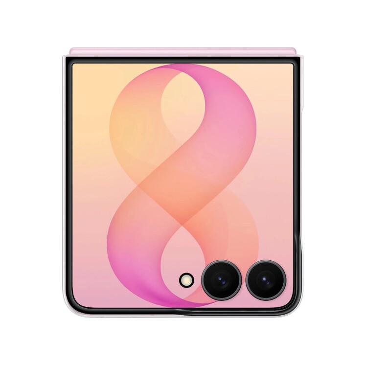 Funda Samsung Clear Magnet Transparente para Galaxy Z Flip8 Transparent