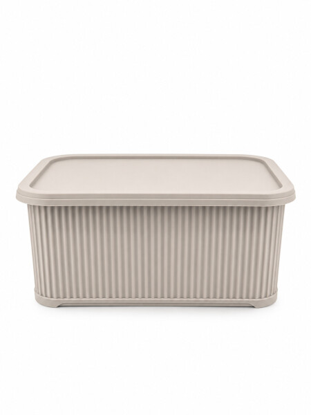 CAJA ORGANIZADORA C/ TAPA BEIGE