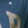 Remera Logo Gap Manga Corta Niña Blue Star 816