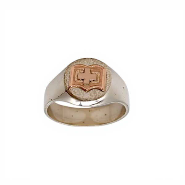 Anillo Profesión Registros Médicos -Plata y Oro-Sin Piedra-AP5027 sinpiedra