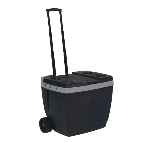 CAJA TERMICA 42 LTS. CON RUEDAS NEGRA 51.5X43.5X46 CM. NEGRO