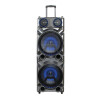 PARLANTE ACTIVO TELEFUNKEN 2X12¨ Parlante Activo Telefunken 2x12¨