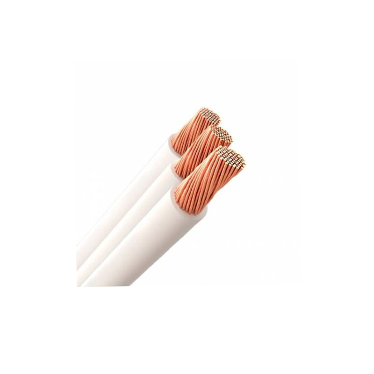 Cordón gemelo CCT de 2x2 mm, blanco - L95920F 