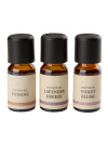 Aceite aromático LEON 10ml 3 unidades Aceite aromático LEON 10ml 3 unidades