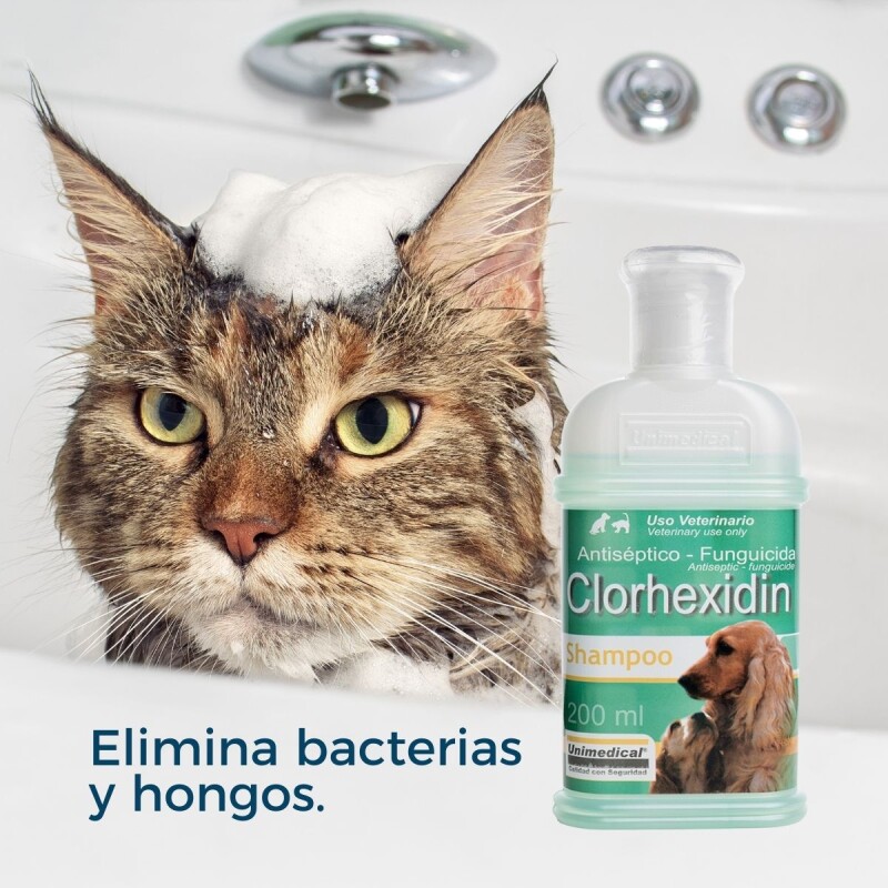 CLORHEXIDIN SHAMPOO FCO 200 ML CLORHEXIDIN SHAMPOO FCO 200 ML