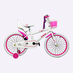 Bicicletas