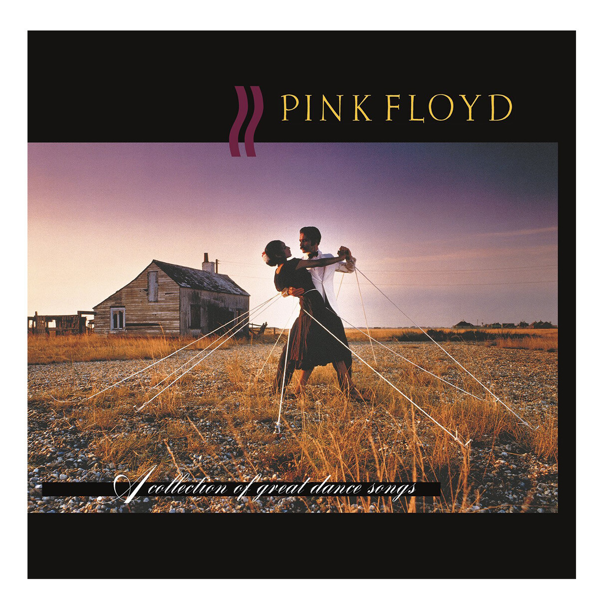 Pink Floyd- A Collection Of Great Dance Songs - Vinilo 