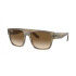 Ray Ban 0360S Striped Green