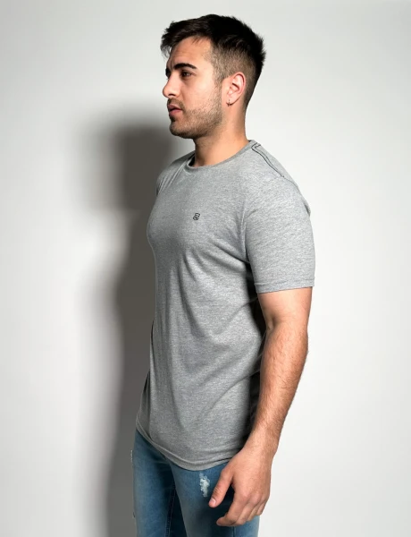 Remera Timo Gris