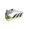 Adidas Predator Accuracy.3 Fg Blanco-negro