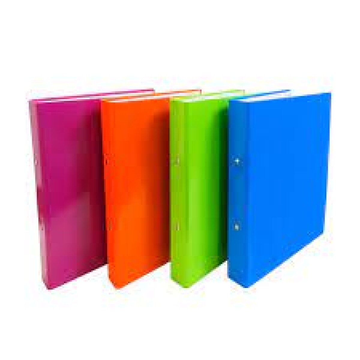 Bibliorato A4 2 Anillos Liso 