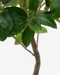 Árbol artificial Ficus con maceta negra 210 cm Árbol artificial Ficus con maceta negra 210 cm