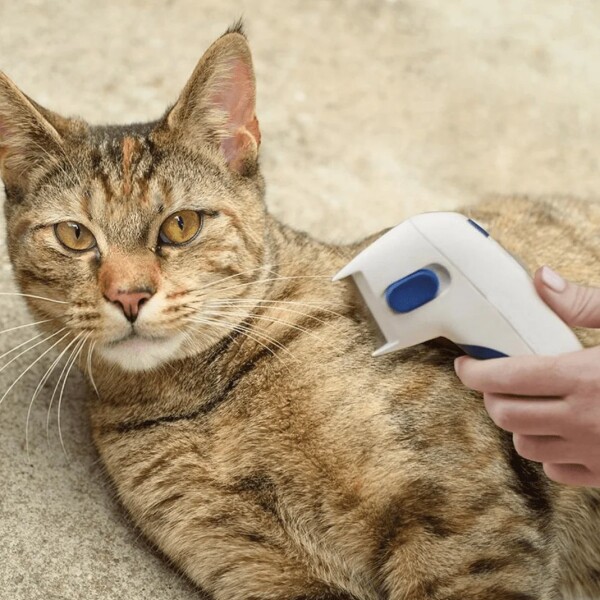 Cepillo Eléctrico Mascotas Mata Pulgas Gatos Perros Pilas Cepillo Eléctrico Mascotas Mata Pulgas Gatos Perros Pilas
