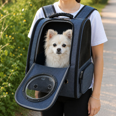 Mochila Transportadora De Mascotas Capsula + Rejilla + Base Azul
