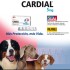 CARDIAL B5 20 COMPRIMIDOS HOLLIDAY CARDIAL B5 20 COMPRIMIDOS HOLLIDAY