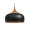ACDN273 Lámpara de techo Nórdica Colgante Negra