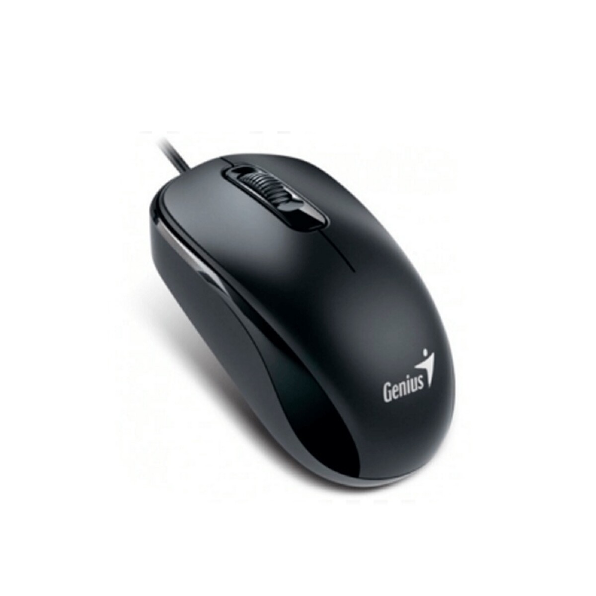 Mouse Optico Genius DX-110 USB Negro 