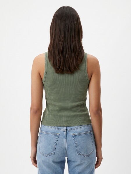 MUSCULOSA ZAELIA OLIVA