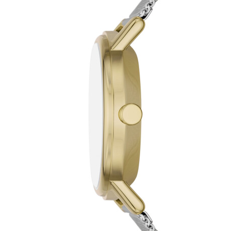 RELOJ SKAGEN FASHION ACERO PLATA 0