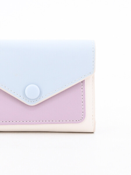 BILLETERA VALENCIA CELESTE