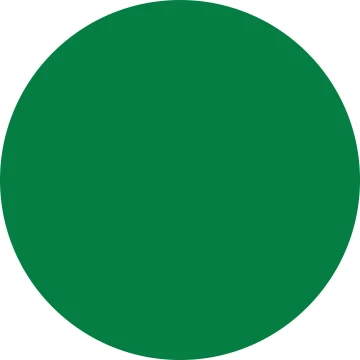 10307 Receta Verde