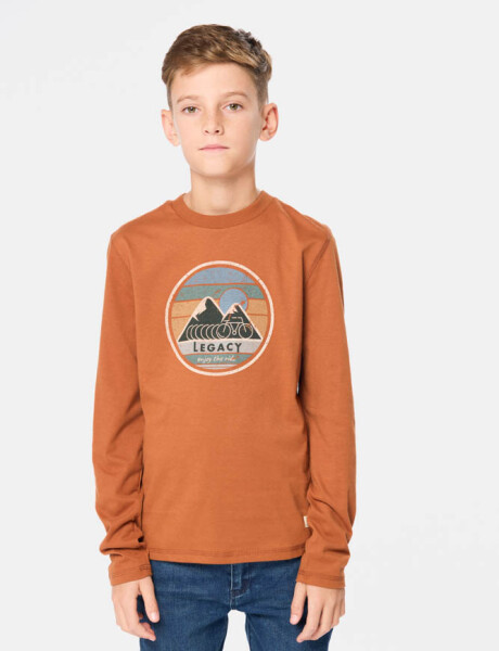 REMERA ESTAMPADA Terracota
