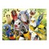 Puzzle Rompecabeza Educa Mira Al Pajarito Selfie 500 Piezas Puzzle Rompecabeza Educa Mira Al Pajarito Selfie 500 Piezas