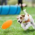 Tunel Gigante Perro Gato Mascota Redondo Tubo Interactivo Variante Color Celeste