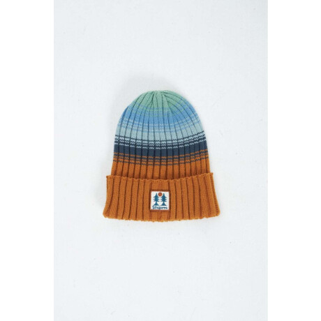 Gorro Nixon Multi