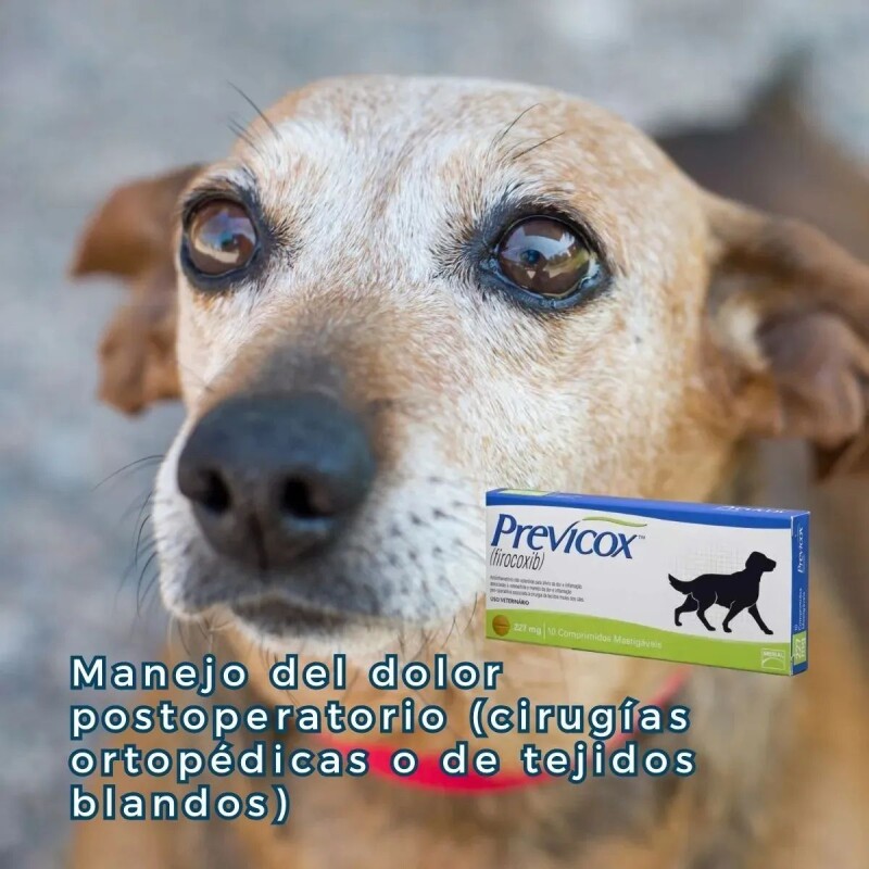 PREVICOX 227 MG 10 COMPRIMIDOS PREVICOX 227 MG 10 COMPRIMIDOS