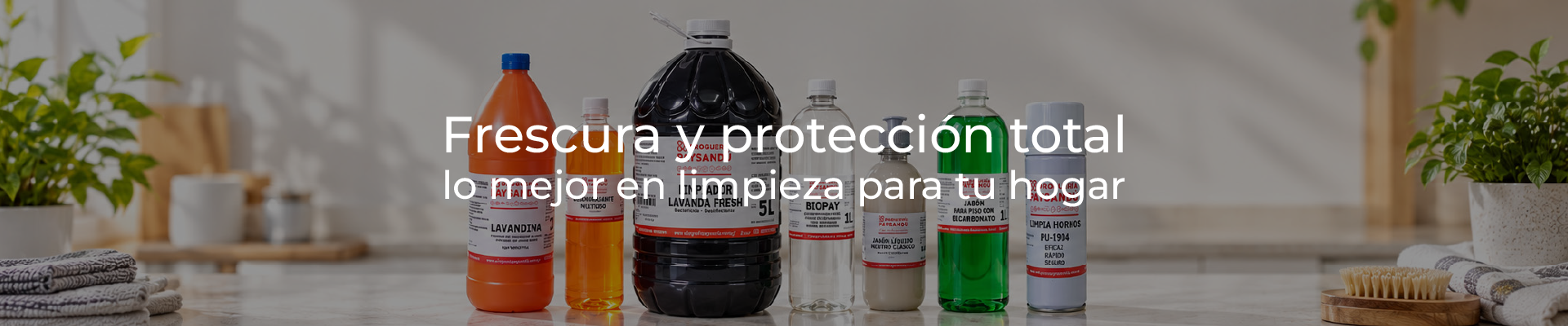 HIGIENE DEL HOGAR