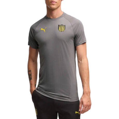 Remera Peñarol Puma Evostripe 05