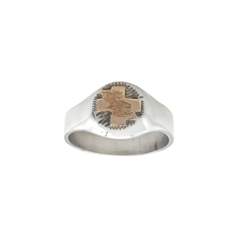 Anillo Profesión Fisioterapeuta - Plata y Oro-Sin Piedra-AP5040 ap5040