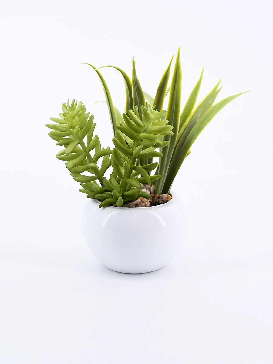 SUCULENTA - VERDE 