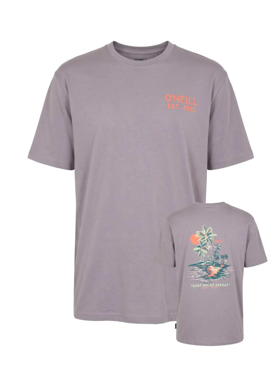 Remera O'Neill Oceanside - Gris 